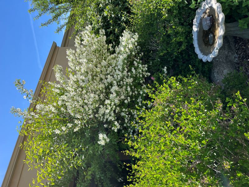 SECWCD Demonstration Water Wise Garden